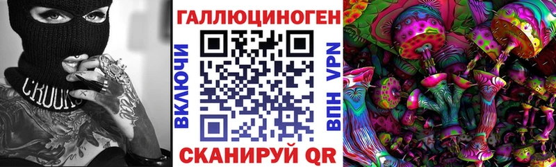 где купить наркоту  Курганинск  Галлюциногенные грибы Cubensis 