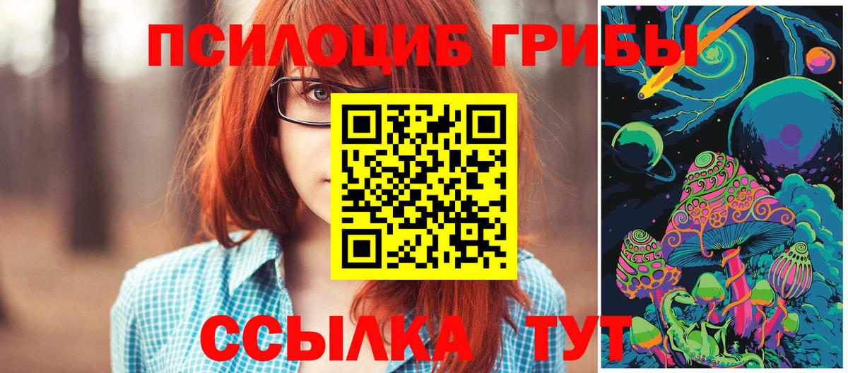 Галлюциногенные грибы мицелий Курганинск