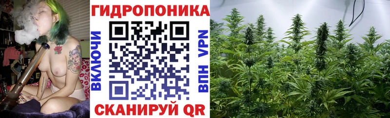 Каннабис семена  Курганинск 